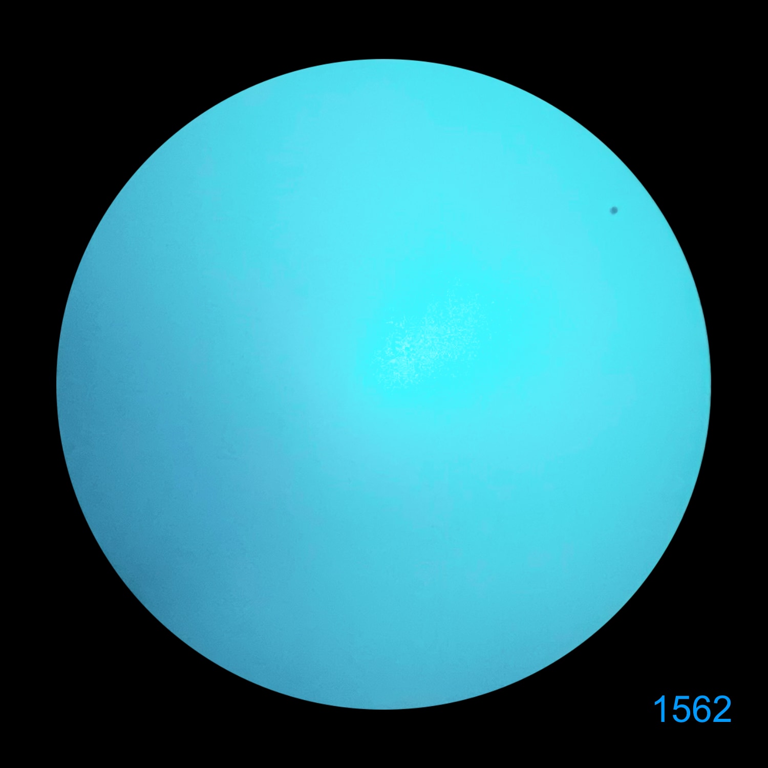 RQE | VYPER-14 - Image 4